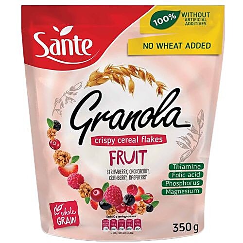 Buy Sante Granola Fruit 350 Gm Online At Best Price bigbasket
