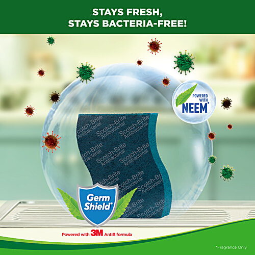 Scotch brite Scrub Pad - Anti- Bacterial, Small, 1 pc  