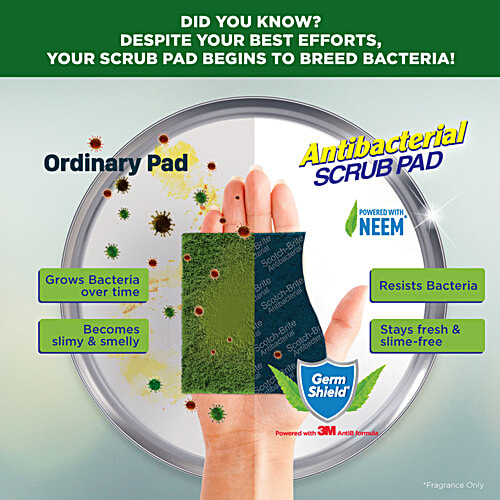 Scotch brite Scrub Pad - Anti- Bacterial, Regular, 1 pc  