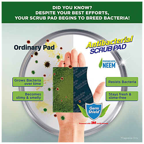 Scotch brite Scrub Pad - Anti- Bacterial, Large, 1 pc  