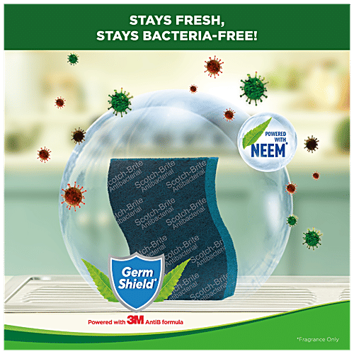 Scotch brite Scrub Pad - Anti- Bacterial, Large, 1 pc  