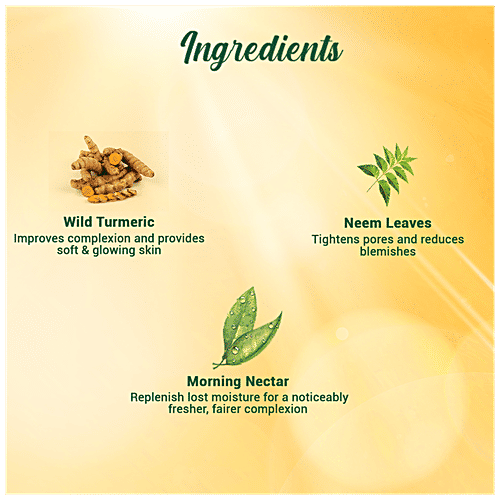 BIOTIQUE Sunscreen Moisturizer Lotion - Morning Nectar, Sun Protect, SPF 30+ UVA/UVB, For Visibly Flawless Skin, 120 ml  