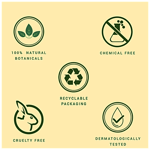 BIOTIQUE Sunscreen Moisturizer Lotion - Morning Nectar, Sun Protect, SPF 30+ UVA/UVB, For Visibly Flawless Skin, 120 ml  