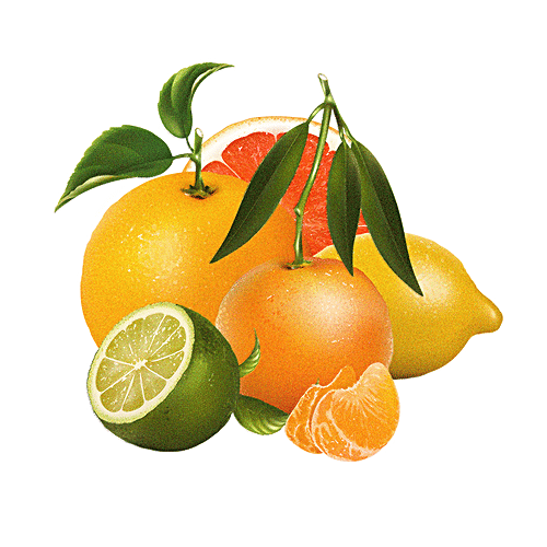 BIOTIQUE Bio Vitamin Therapeutic Body Massage Oil, 200 ml