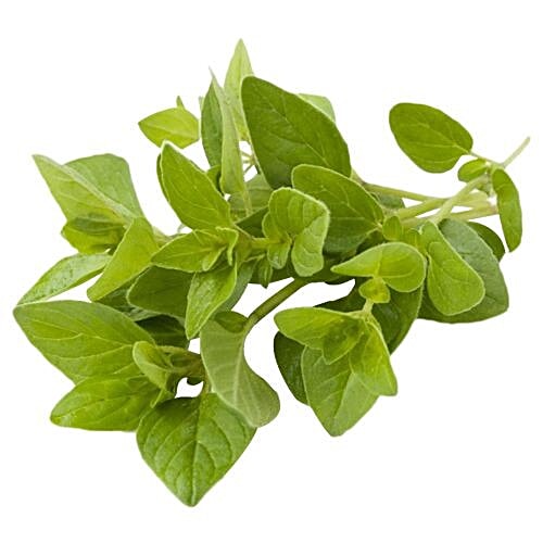 Buy Simply Fresh Oregano Online at Best Price of Rs 71.25 bigbasket
