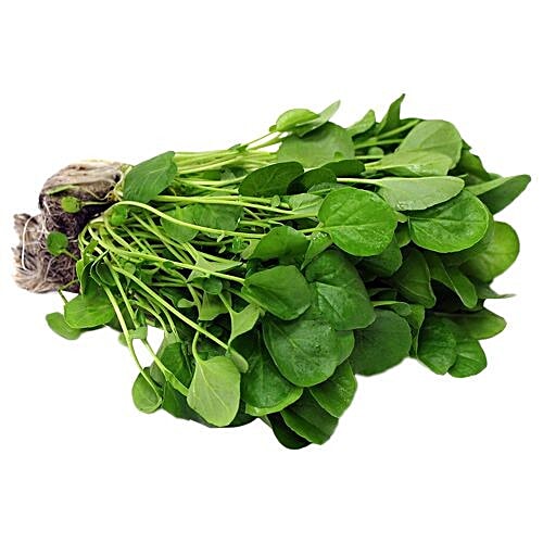 Buy Simply Fresh Watercress Online at Best Price of Rs 71.25 bigbasket