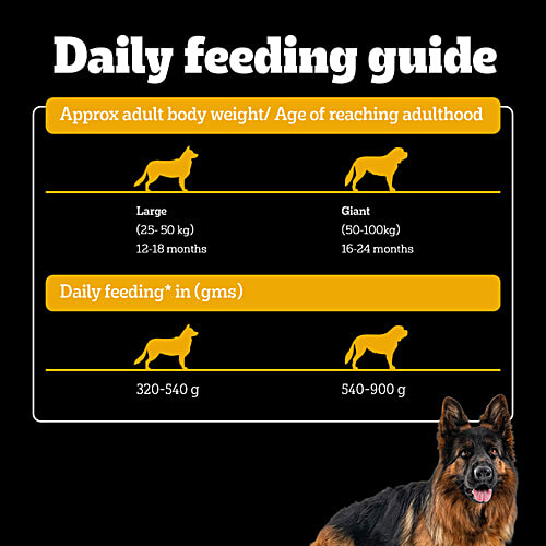 Pedigree PRO Adult 18 Months+ Large Breed Dry Dog Food, 3 kg Expert Nutrition, Vet Trusted Brand