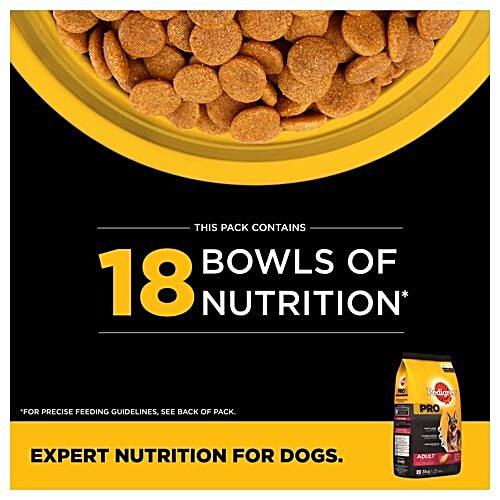 pedigree active senior