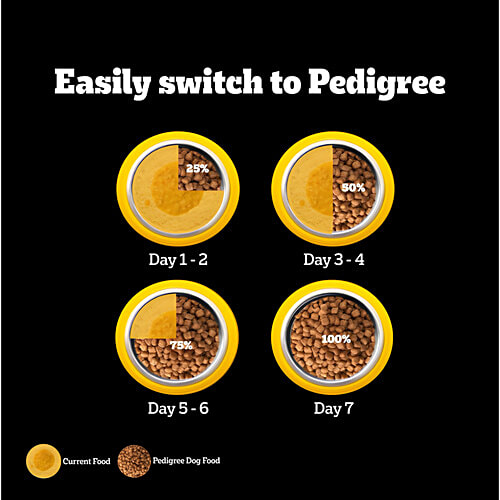 Pedigree PRO Adult 18 Months+ Large Breed Dry Dog Food, 3 kg Expert Nutrition, Vet Trusted Brand