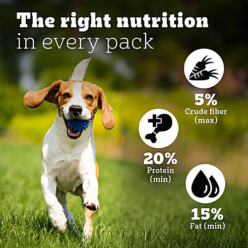 Pedigree PRO Adult (9 Months Onwards) Small Breed Dry Dog Food 1.2 kg, Vet Trusted Brand, 1.2 kg  Expert Nutrition