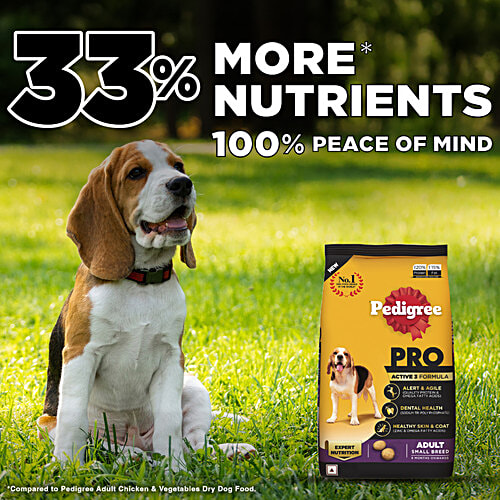 Pedigree PRO Adult (9 Months Onwards) Small Breed Dry Dog Food 1.2 kg, Vet Trusted Brand, 1.2 kg  Expert Nutrition