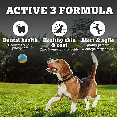 Pedigree PRO Adult (9 Months Onwards) Small Breed Dry Dog Food 1.2 kg, Vet Trusted Brand, 1.2 kg  Expert Nutrition