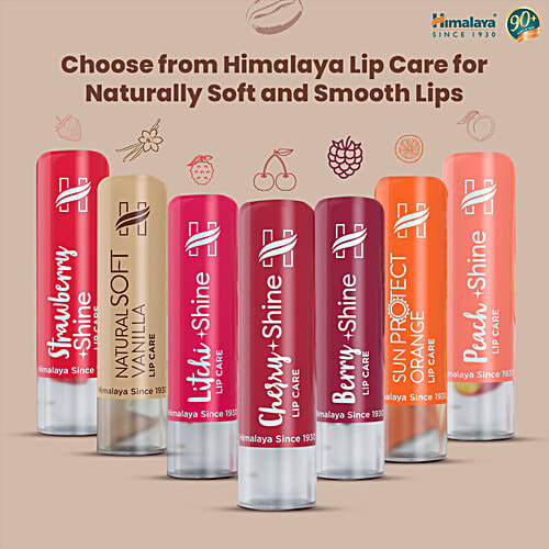 Himalaya Rich Cocoa Butter Lip Care, 4.5 g  Repairs & Heals Lips