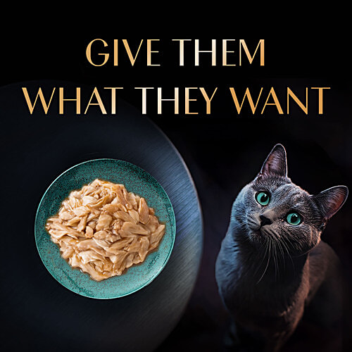 Sheba Rich Premium Adult (1+ Years) Wet Cat Food, Maguro & Bream Flavour, 35g, High-Moisture Wet Cat Food, 35 g  Tasty Flakes, No Artificial Colours or Preservatives