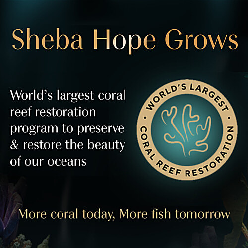 Sheba Rich Premium Adult (1+ Years) Wet Cat Food, Maguro & Bream Flavour, 35g, High-Moisture Wet Cat Food, 35 g  Tasty Flakes, No Artificial Colours or Preservatives