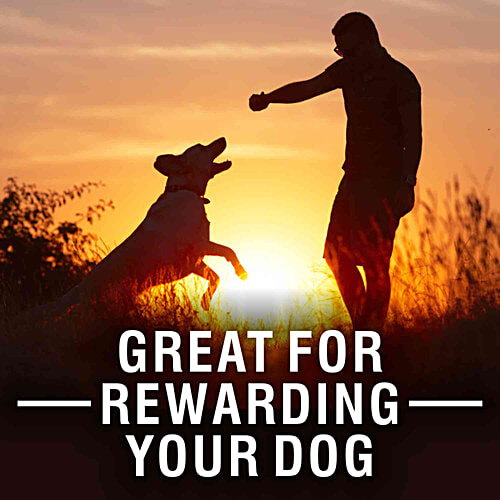 Purepet 100% Vegetarian Biscuits For Dogs, Treats, 800 g Jar Complete & Balanced Nutrition, No Added Colors or Flavors, Dog Treats