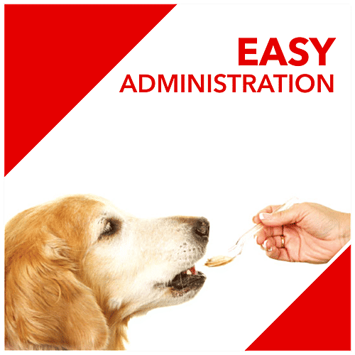 Drools Absolute Calcium Chewable Tablets - For Pets, -, 50 pcs Premium Supplement