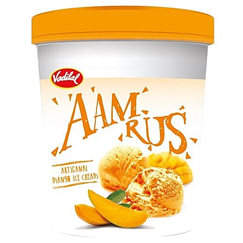 vadilal ice cream 500ml price