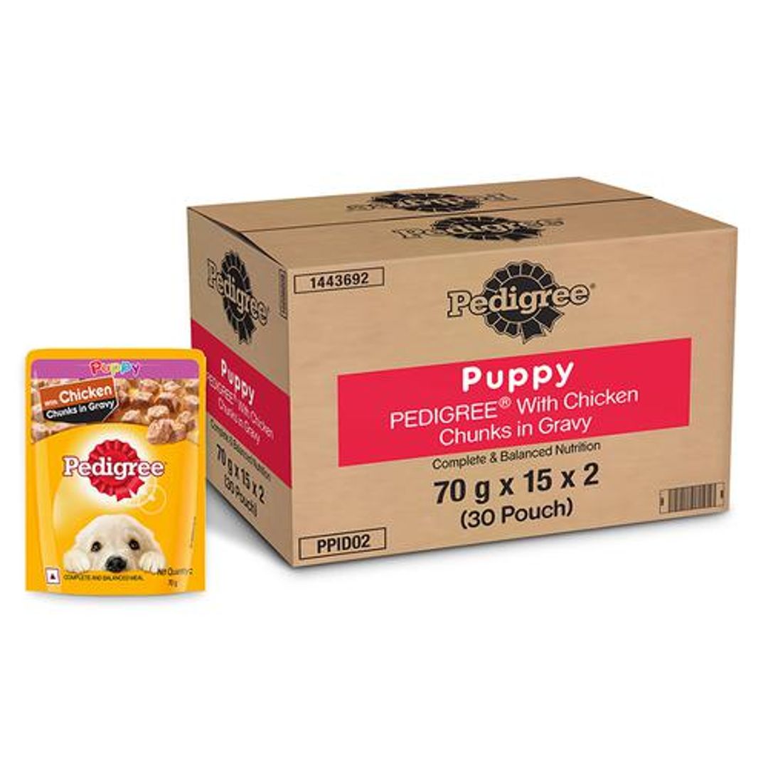 Pedigree Wet Pet Food - For Puppy, Chicken Chunks in Gravy, 80 g (Pack of 30)