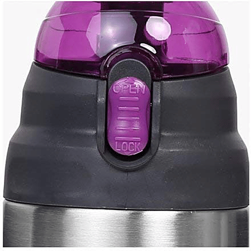 Milton Water Flask - Insulated Thermosteel, Purple, Crown, 500 ml  
