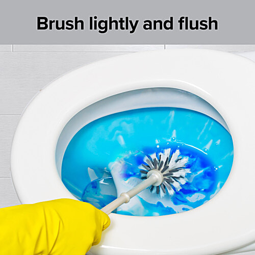 bb home Disinfectant Toilet Cleaner - Rose, Kills 99.9% Germs, 500 ml Bottle 99.9% Germ Protection