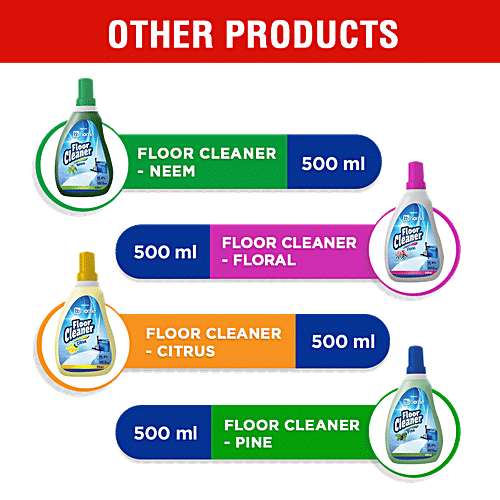 BB Home Disinfectant Floor Cleaner - Pine, Kills 99.9% Germs, 500 ml  