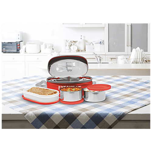 Buy Milton Executive Stainless Steel Lunch/Tiffin Box With Containers