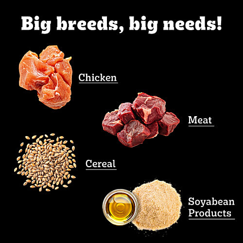 Pedigree PRO Adult 18 Months+ Large Breed Dry Dog Food, 20 kg Expert Nutrition, Vet Trusted Brand