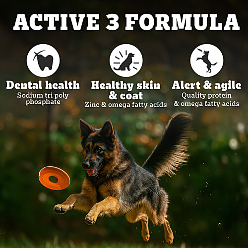 Pedigree PRO Adult 18 Months+ Large Breed Dry Dog Food, 20 kg Expert Nutrition, Vet Trusted Brand