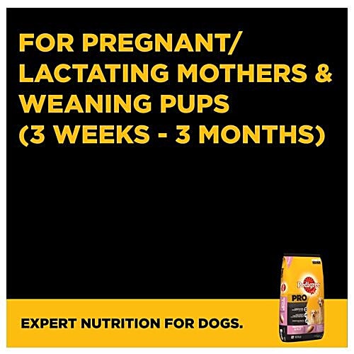 Buy Pedigree Dry Dog Food PRO, Expert Nutrition Starter for Mother