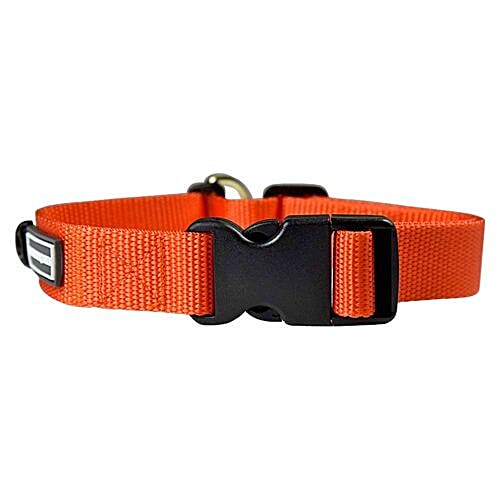 Buy Heads up for tails Dog Collar M, Nylon, Orange, Classic Online at