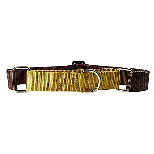 Buy Heads up for tails Dog Collar L, Nylon, Brown + Gold Yellow