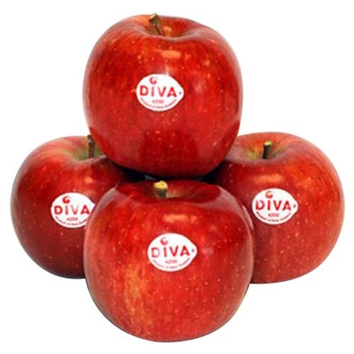 Buy Fresho Apple - Diva 110 Count Online at Best Price of Rs null ...
