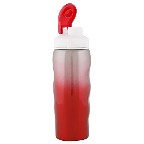 DP Stainless Steel Water Bottle - Red BB 498 3, 600 ml  