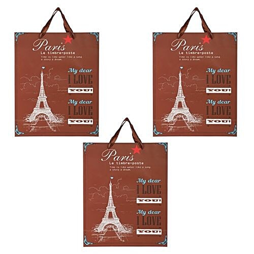 DP Gift/Paper Carry Bag - Brown, BB392 M, 3 pcs  