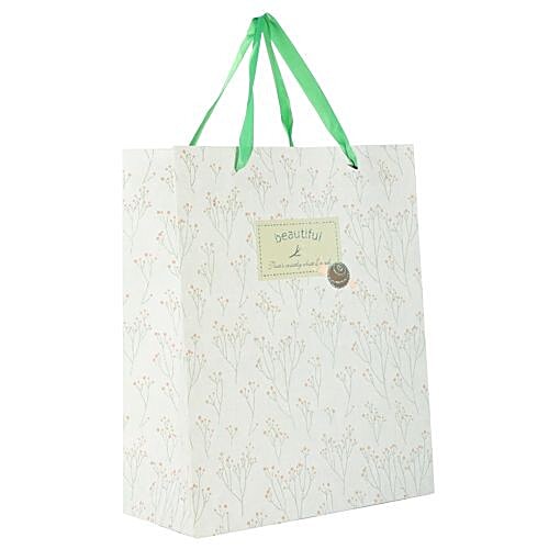 DP Gift/Paper Carry Bag - Medium, Off White BB 396 M, 3 pcs  