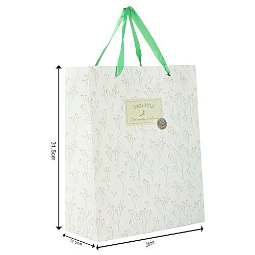 DP Gift/Paper Carry Bag - Medium, Off White BB 396 M, 3 pcs  
