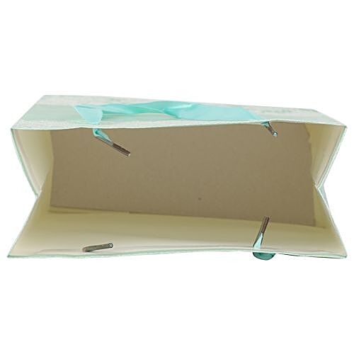 DP Gift/Paper Carry Bag - Small, Pastel Green BB 399S, 3 pcs  