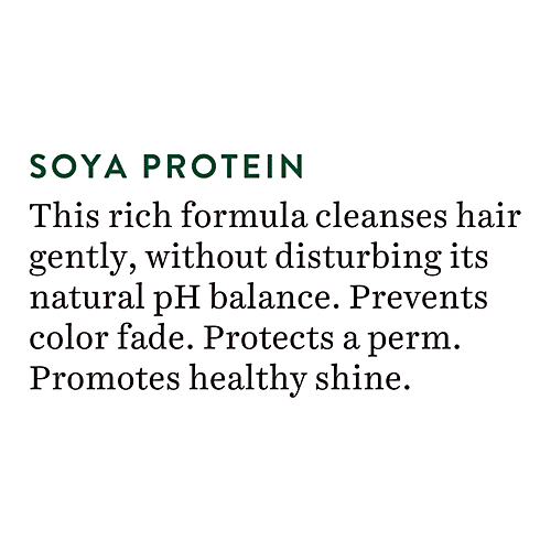 BIOTIQUE Intense Repair Shampoo & Conditioner - Soya Protein, For Dry & Damaged Hair, 800 ml  