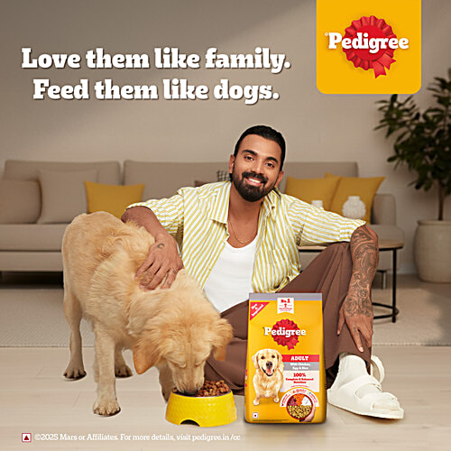 Pedigree Adult Dry Dog Food, Chicken, Egg & Rice, 3 kg, 100% Complete & Balanced Food for Adult Dogs, 3 kg Healthy Muscles & Bones, Healthy Digestive System, Shinier Coat, High Quality Protein & Calcium
