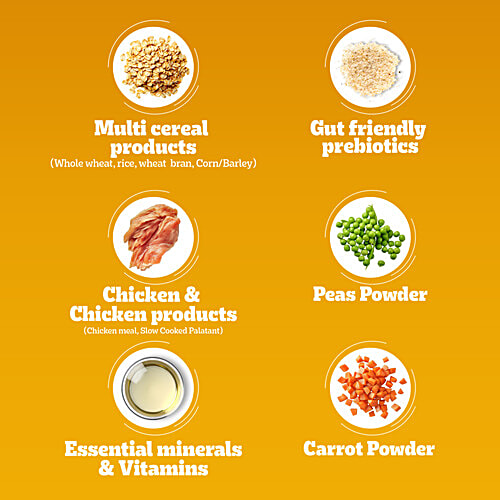 Pedigree Adult Dry Dog Food, Chicken, Egg & Rice, 3 kg, 100% Complete & Balanced Food for Adult Dogs, 3 kg Healthy Muscles & Bones, Healthy Digestive System, Shinier Coat, High Quality Protein & Calcium