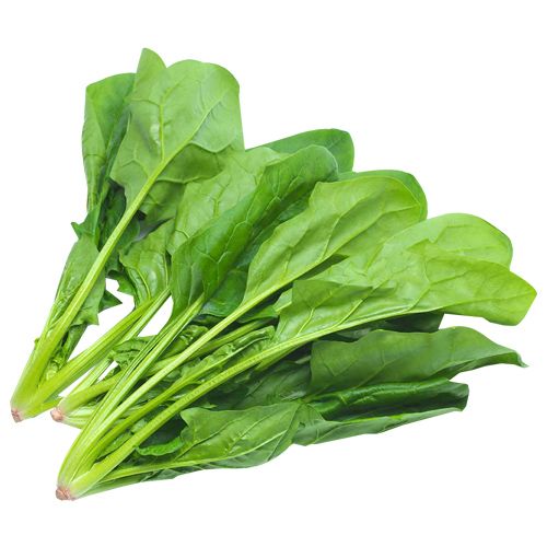 Buy Fresho Baby Spinach Online at Best Price of Rs 121.71 - bigbasket