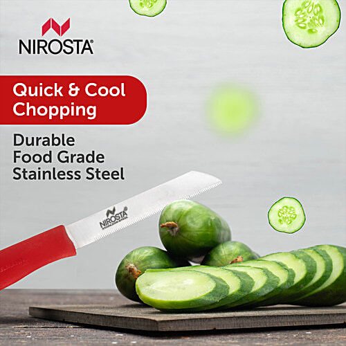 Fackelmann Nirosta Stainless Steel 25 cm Knife - Perfect For Cutting Fruits & Vegetables, 1 pc  Anti-Rust, Durable