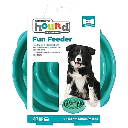 Buy Outward Hound Slow Feeder Bowl Fun Feeder, Teal Online at Best