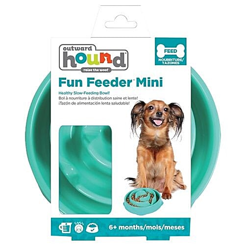 Buy Outward Hound Slow Feeder Bowl Fun Feeder, Mini, Teal Online at