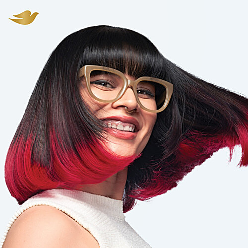 Dove Intense Repair Shampoo, 1 L  With Bio-Protein Care, Ceramide Formula