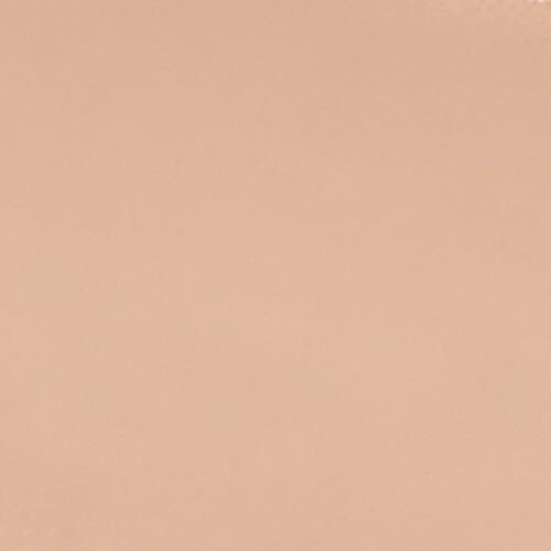 Wet N Wild Photo Focus Concealer, 8.5 g Light Ivory Cruelty Free