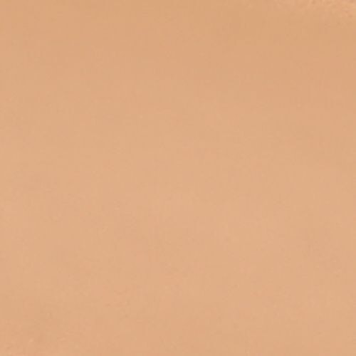 Wet N Wild Photo Focus Concealer, 8.5 g Light/Medium Beige Cruelty Free