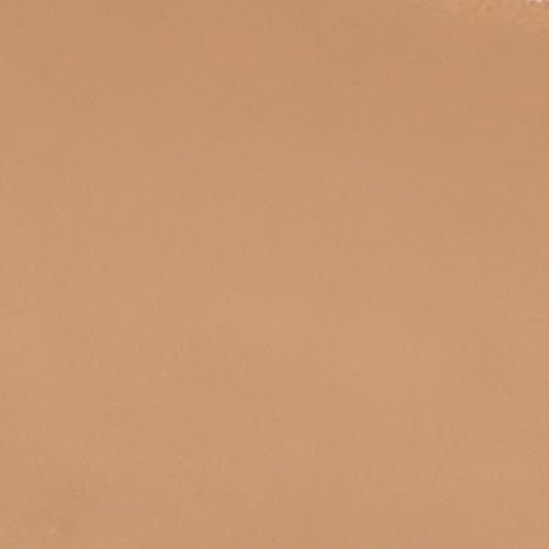 Wet N Wild Photo Focus Concealer, 8.5 g Medium Tawny 