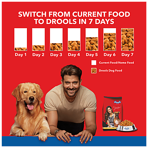 Drools Dog Food - Chicken & Egg, Adult, 100 g  20% Protein, 10% Fat